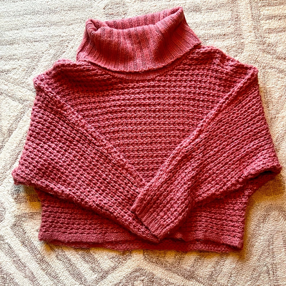 Express Cropped Turtleneck Sweater